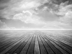 Spinz kotiutus – asiantuntijaopas